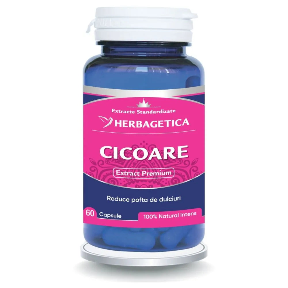 Cicoare Extract