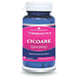 Cicoare Extract